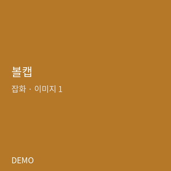 볼캡