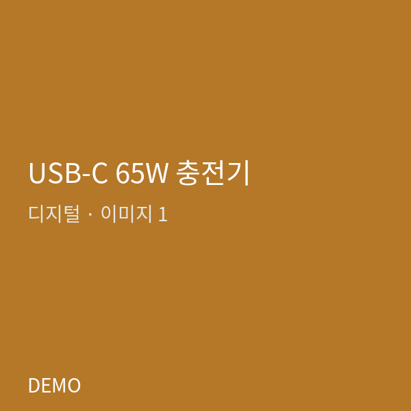 USB-C 65W 충전기